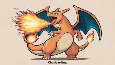 What Does Charizarding Mean