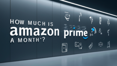 Allintitle:How Much is Amazon Prime a Month